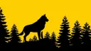 MTU Huskies banner