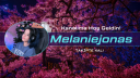 Melaniejonas Discord server banner