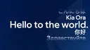 banner