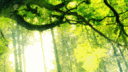 The Tree (18+ Only) banner