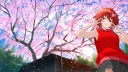 TERRAPIN ANIME SOCIETY banner