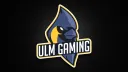 ulm gaming banner