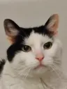 Mitsuki.TV banner