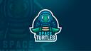 Space Turtles Banner