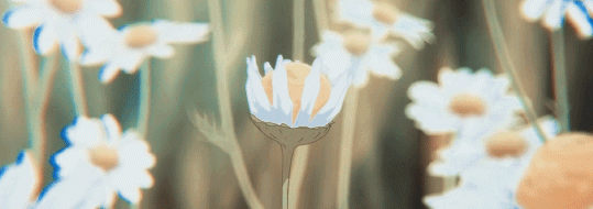 𝚖𝚎𝚕 Banner
