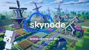Skynode Hosting Banner