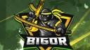 Bigor Gaming banner