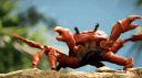 🦀 Krabs🦐 banner