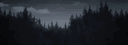 Profile banner