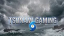 Tsunami Gaming banner