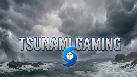 Tsunami Gaming banner