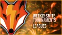 Vulpis Esports banner