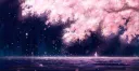Central do Assa banner