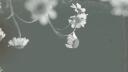 Ariana Grande Banner