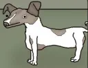 Sam O'Nella Academy Discord server banner