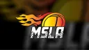 MSLA Racing Network banner