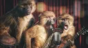 Monkey Interference banner