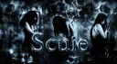 Scuie banner