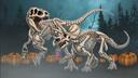 Isla Nycta Banner