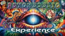 Psychedelic Experience banner