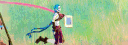 banner