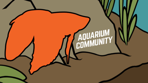 Aquarium Community Discord server banner
