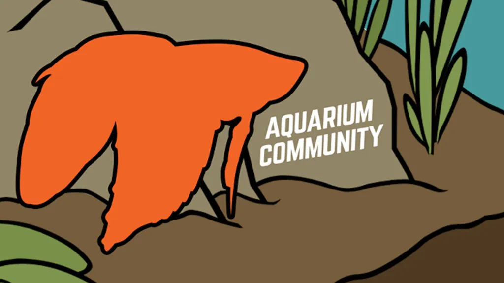 Aquarium Community Discord server banner