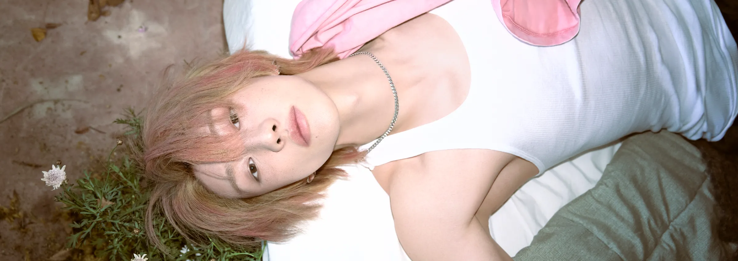 reptile #吉board's profile banner