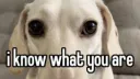 Los Memers banner