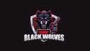 [BW'] BLACK WOLVES banner