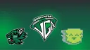 Binghamton VGA banner