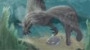 Paleocord Banner