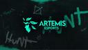 Artemis Esports Banner