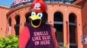 Busch Stadium Green Seats banner