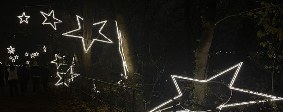 kiwi ✰ Banner