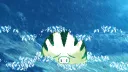 Crystal Clear banner