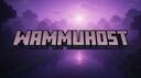MineLogic's Lobby Banner