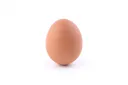 EGG banner