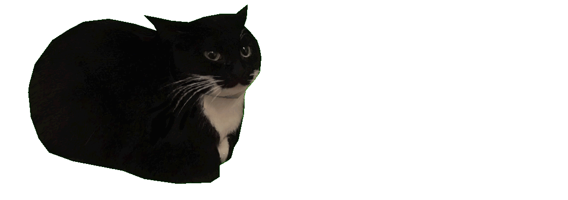 Fembargo Banner
