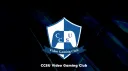 CCSU Video Gaming Club banner