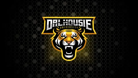 Dalhousie Gaming and eSports Society banner