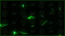 Green Gang TV banner