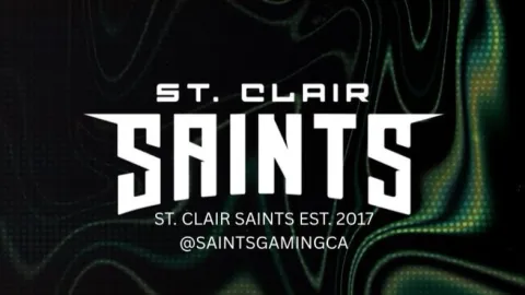 St. Clair Saints banner
