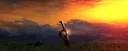 banner