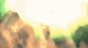 Il Poderoso Bioparco banner