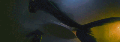noodle Banner