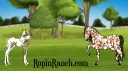 Ropin' Ranch banner