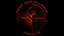 Dark Side Alliance Banner