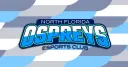 UNF Esports Club banner