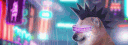 banner